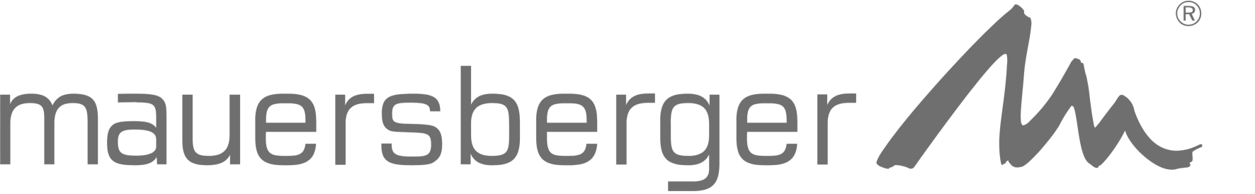 Schmalenberger Logo